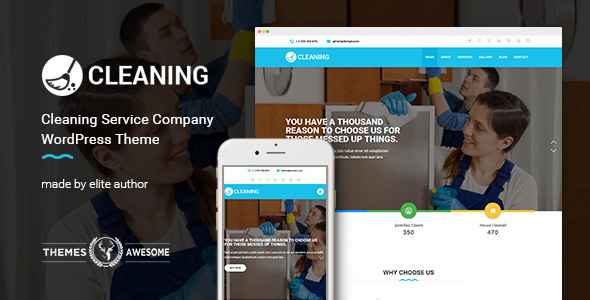 Cleaning Service