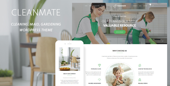 CleanMate