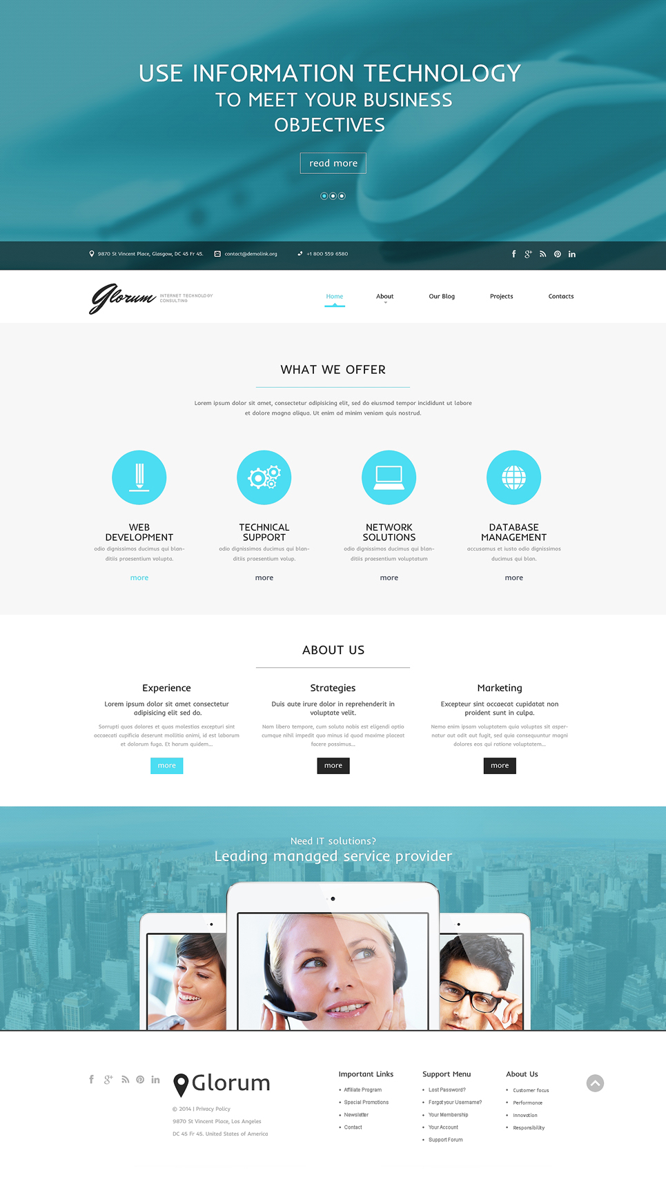 Web Development