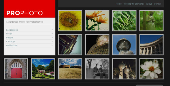 WP ProPhoto