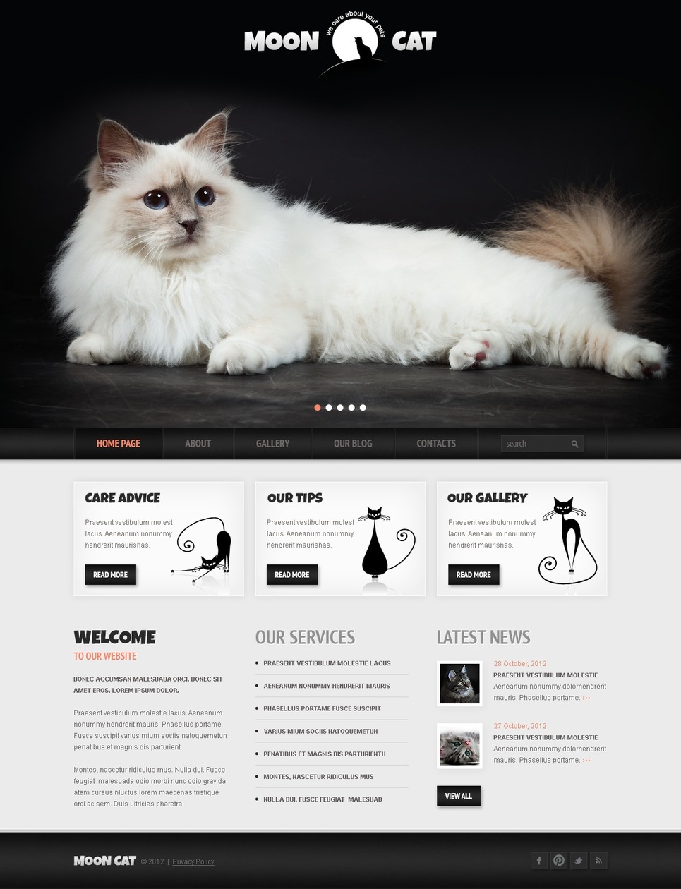 Conceptual Cat