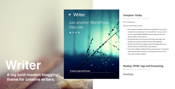Writer