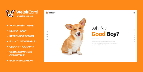 Welsh Corgi