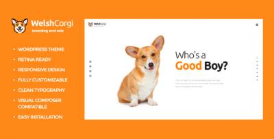 Welsh Corgi 